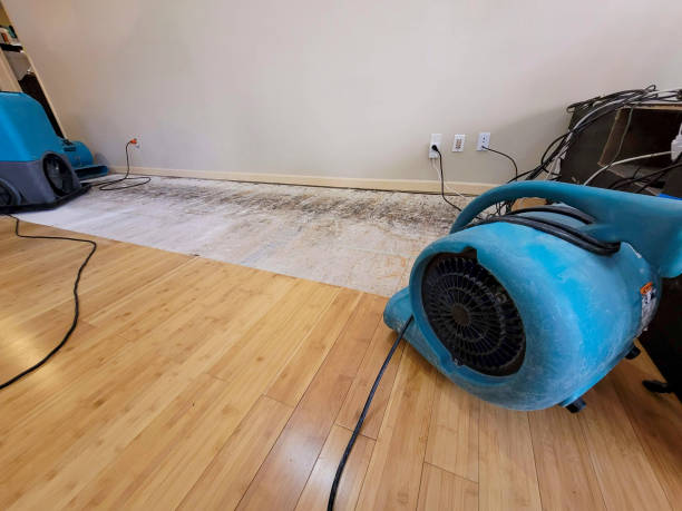 Professional Water Removal technician working in Jerome, AZ